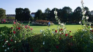 Ein Garten mit verschiedenen Blumen und einer Person, die auf einer Wiese entlanggeht.