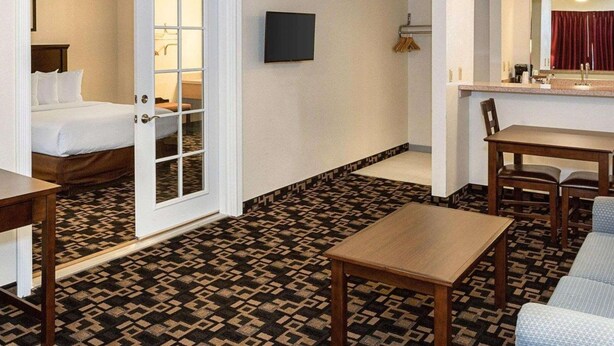 A hotel room with a bed, a small table, a chair, a TV, and a bathroom with a shower and toilet.