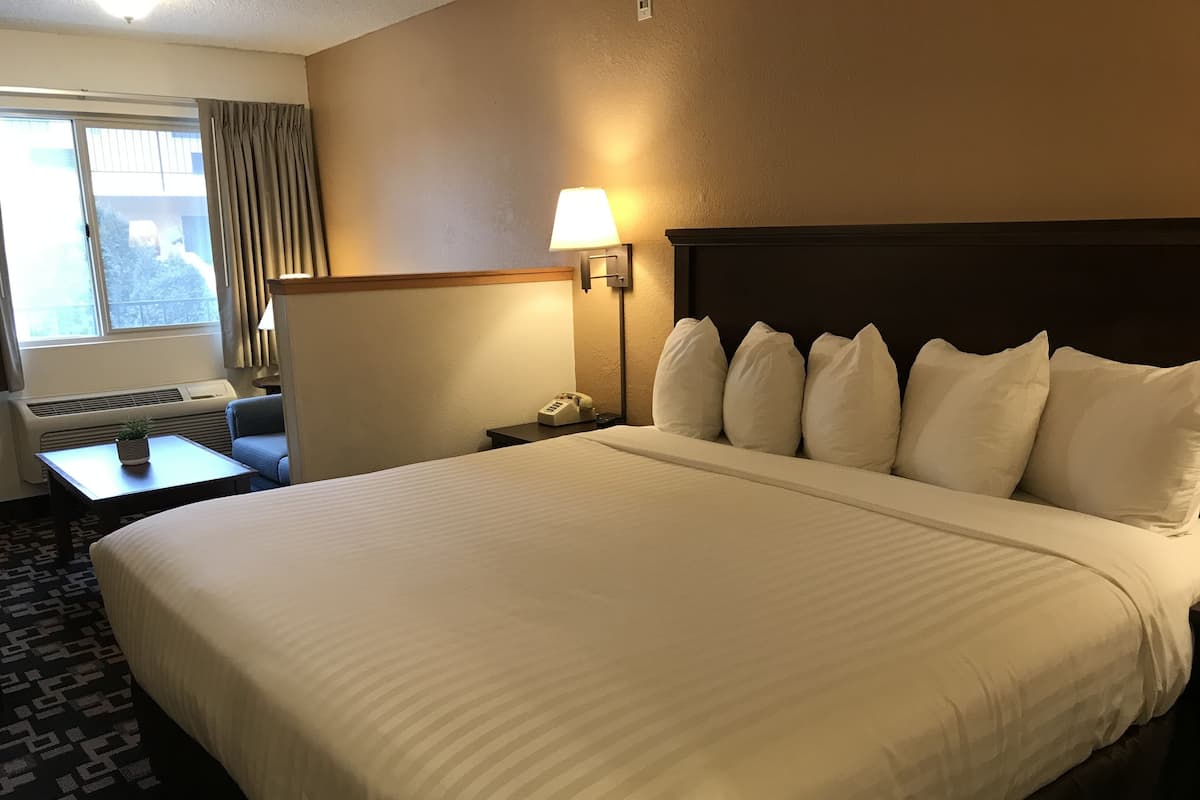 A hotel room with a large bed, a bedside table with a lamp, a telephone, and a window with curtains.