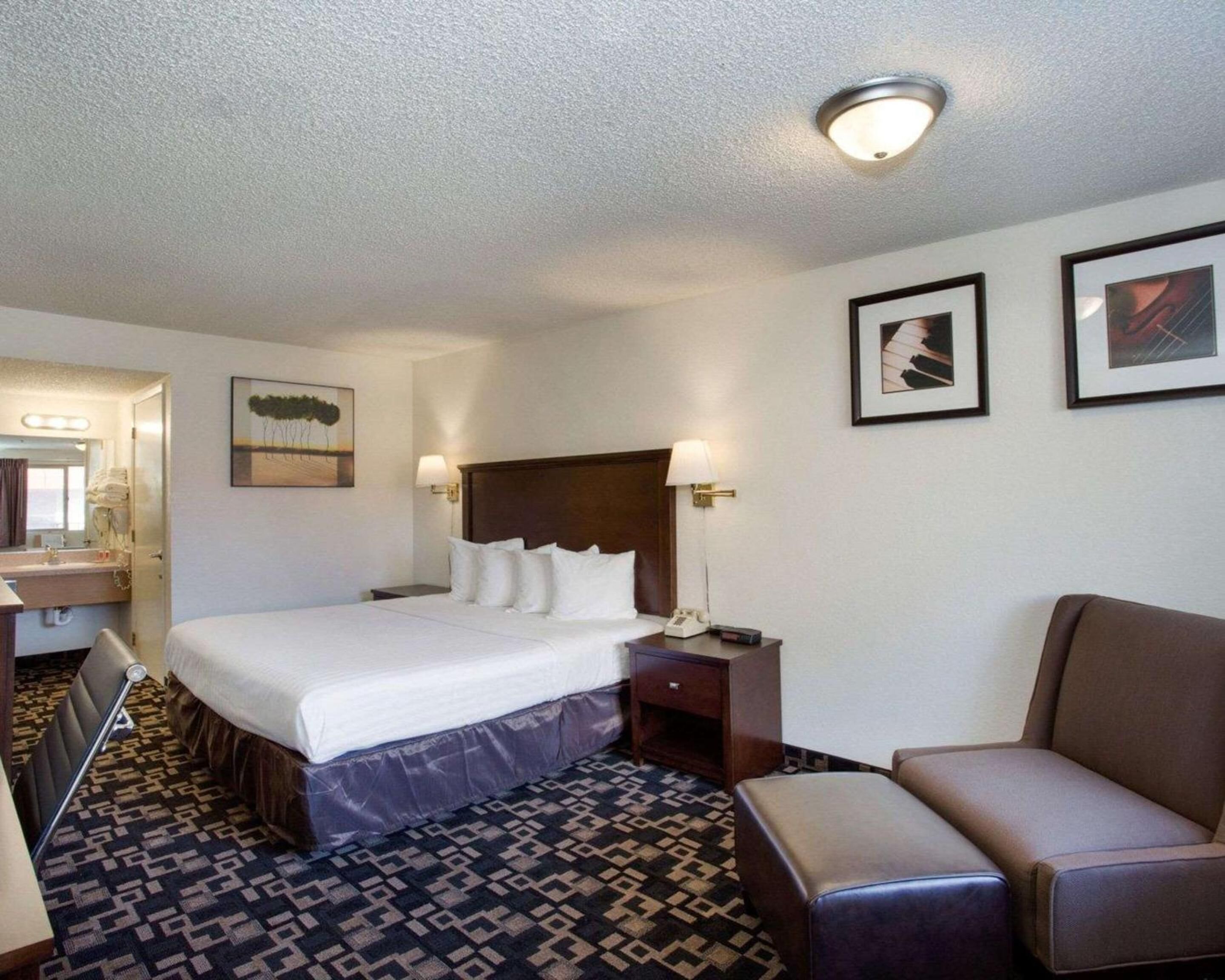 A hotel room with a bed, a desk, a chair, a sofa, and a patterned carpet.