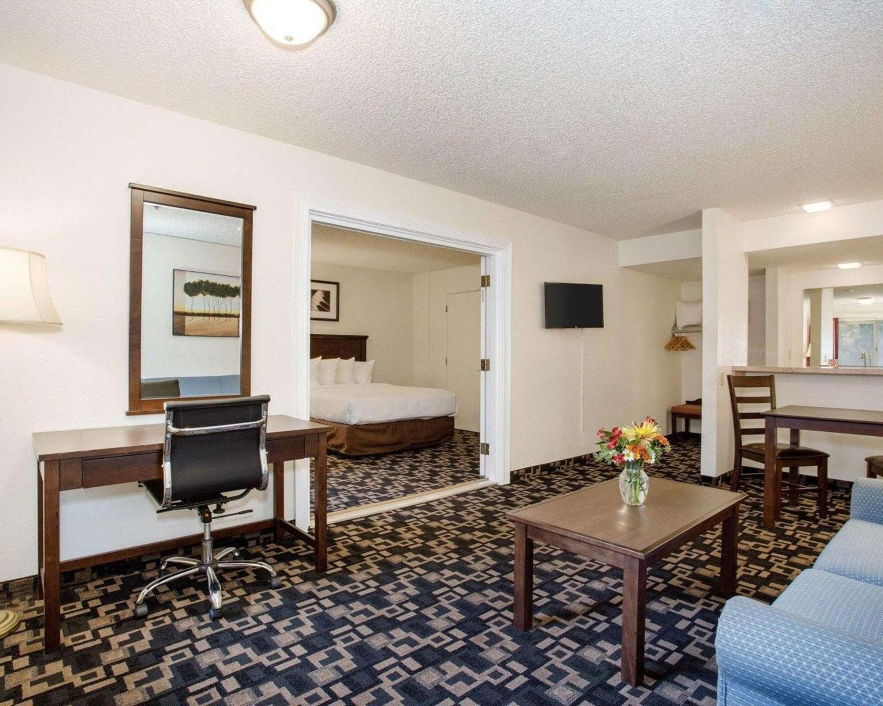 A hotel room with a bed, a desk with a chair, a small table with a vase, a TV mounted on the wall, and a patterned carpet.