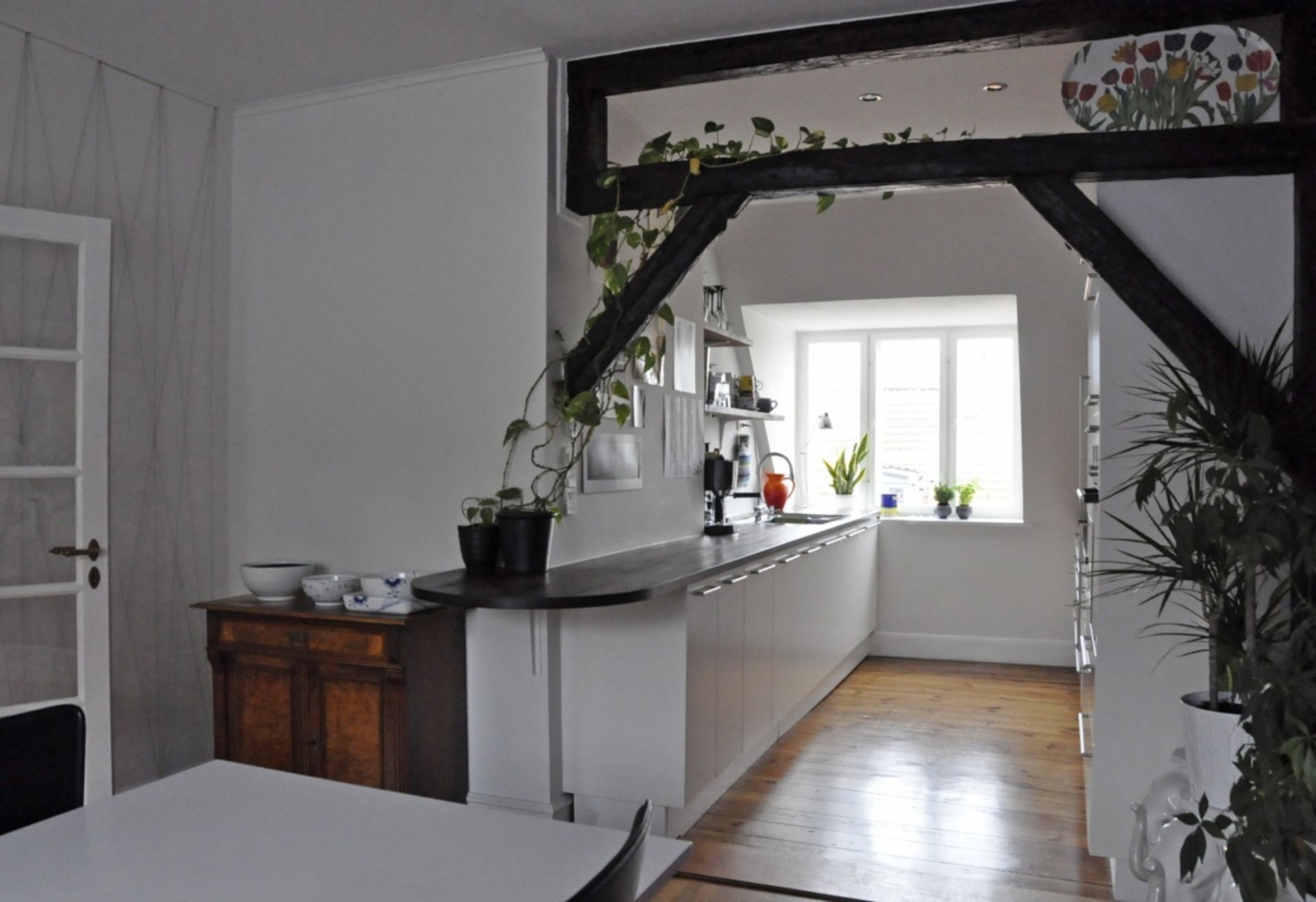 Coffee/tea maker, fridge, oven, stovetop