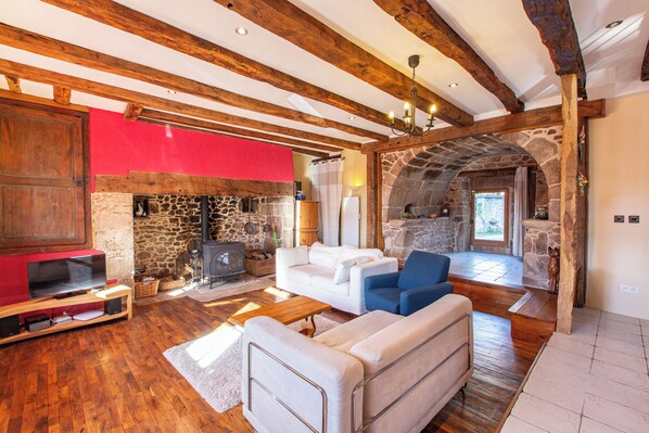 Télévision, cheminée, lecteur de DVD, livres