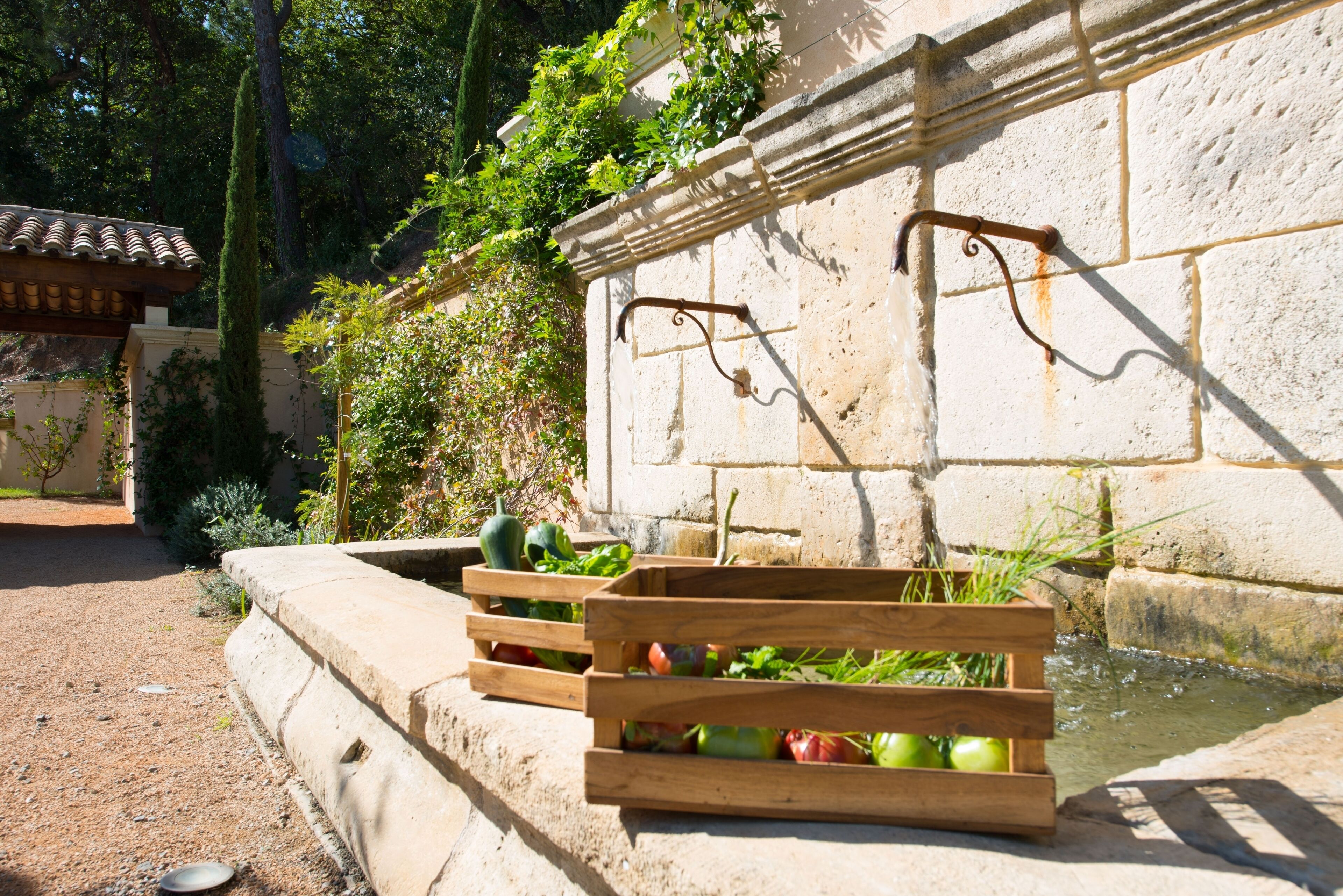 Main fountain and vegetables from the vegetable garden