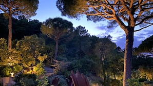 Un jardín con una escultura, árboles y un sendero bien iluminado.