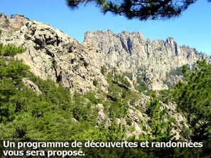 Image sans description, 5 de 19, bouton