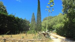 Property grounds - 100% quiet in Uzès! pool 10X5m, 70m² with AC + private terrace, WIFI, big garden (Uzès)