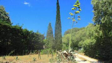 Terrein van de accommodatie