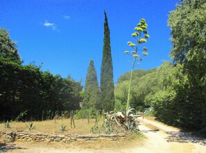Property grounds - 100% quiet in Uzès! pool 10X5m, 70m² with AC + private terrace, WIFI, big garden (Uzès)