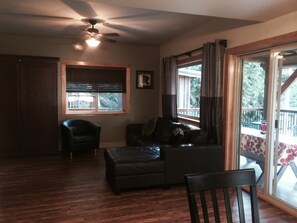 Smart TV, fireplace, DVD player, video library