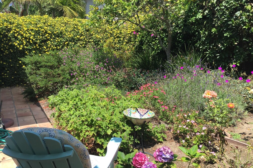 Private Wing W/ Pool, Close to the Ocean, Private, Serene, Surrounded By Garden