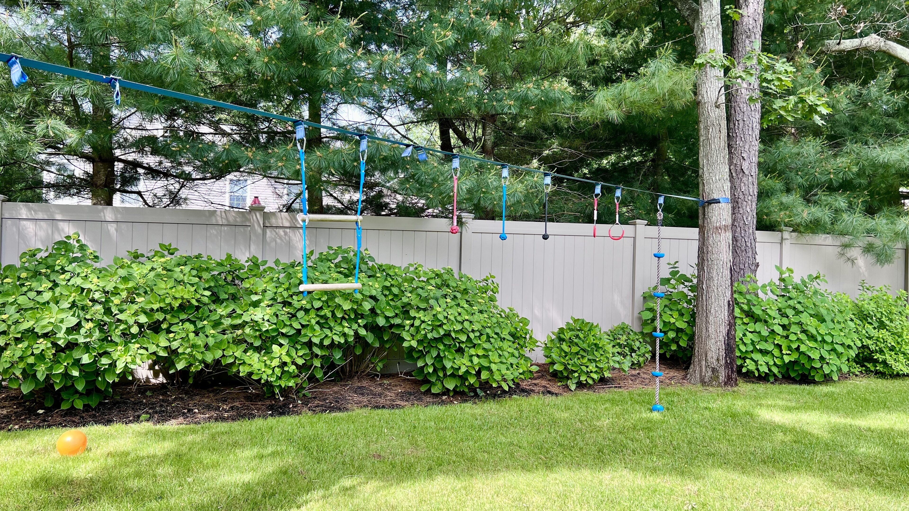 Un jardin avec une balançoire, un arbre et une haie.