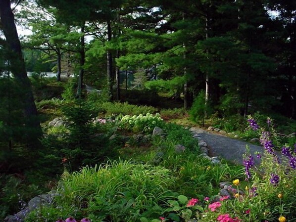 A garden with various plants and flowers, a pathway, and trees.