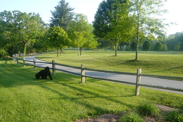 Sparrow’s Rest On The 6th Fairway