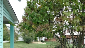 Un jardín residencial con un sendero de grava, un árbol y un césped.
