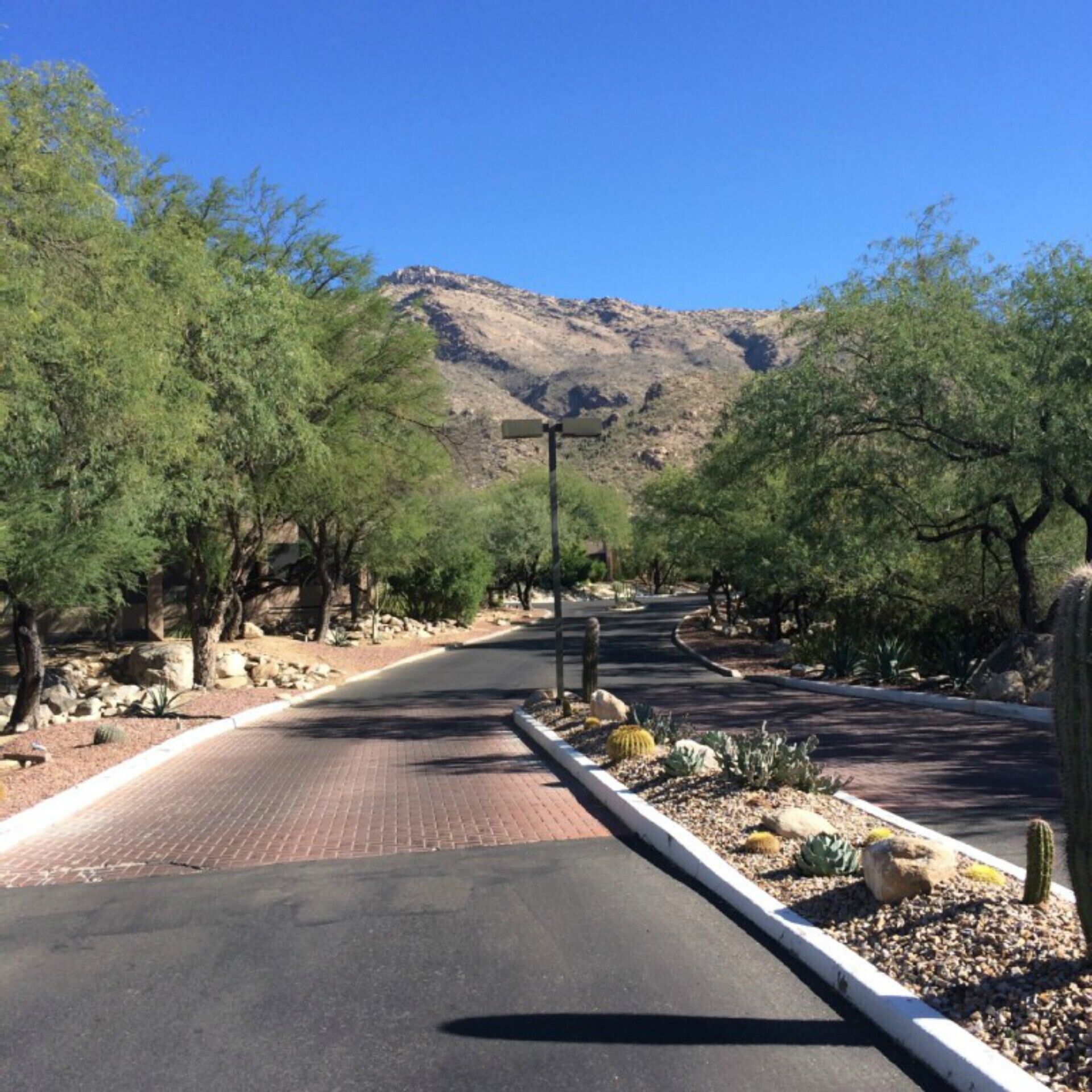 Resort Style Condo with Panoramic Mountain and City Views!