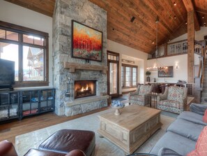 TV, fireplace, video game console, DVD player