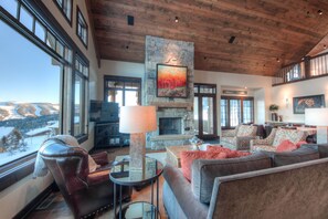 TV, fireplace, video game console, DVD player
