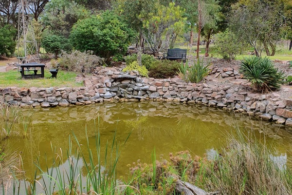 back lake