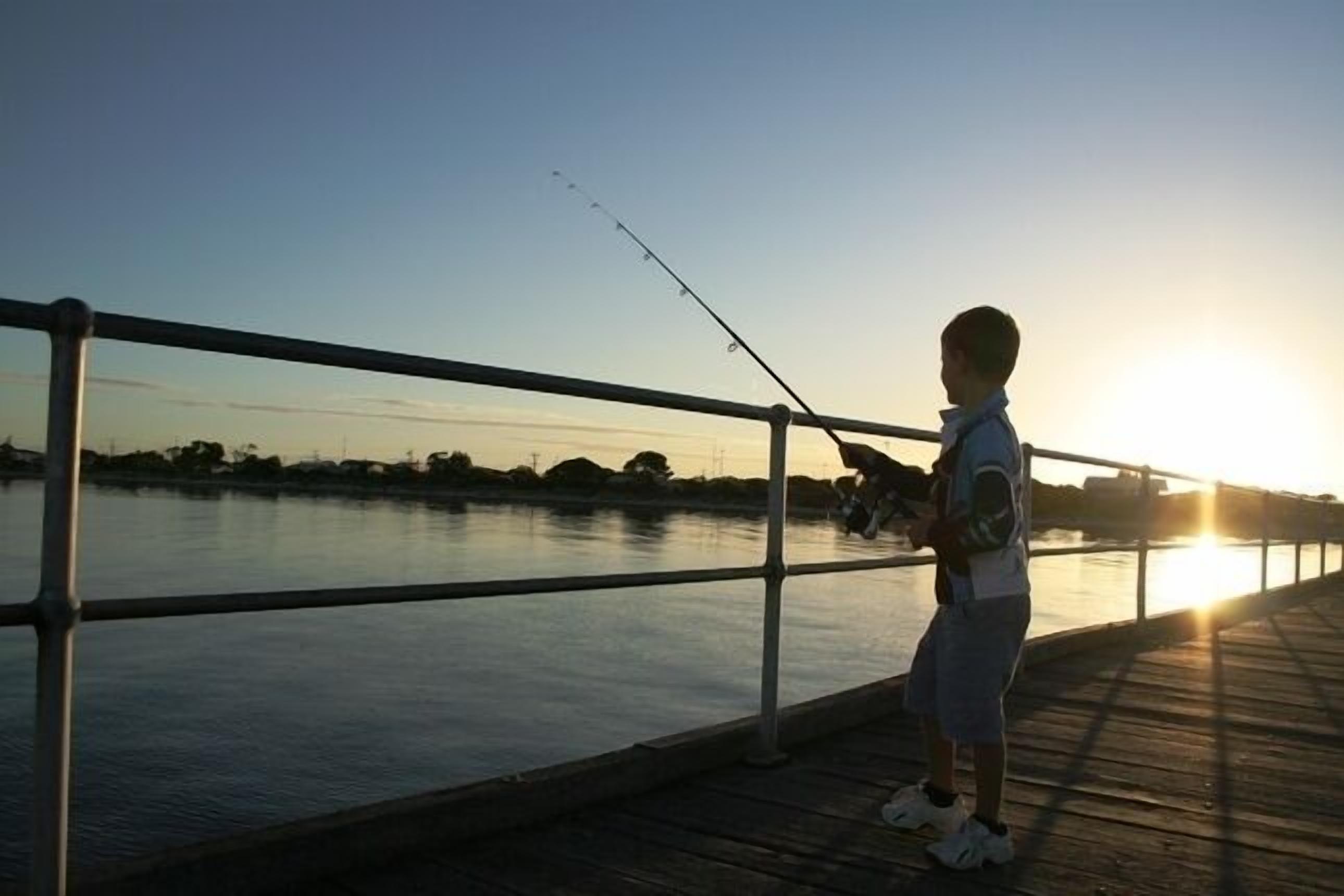 \"Elandra\" Marion Bay — image 3