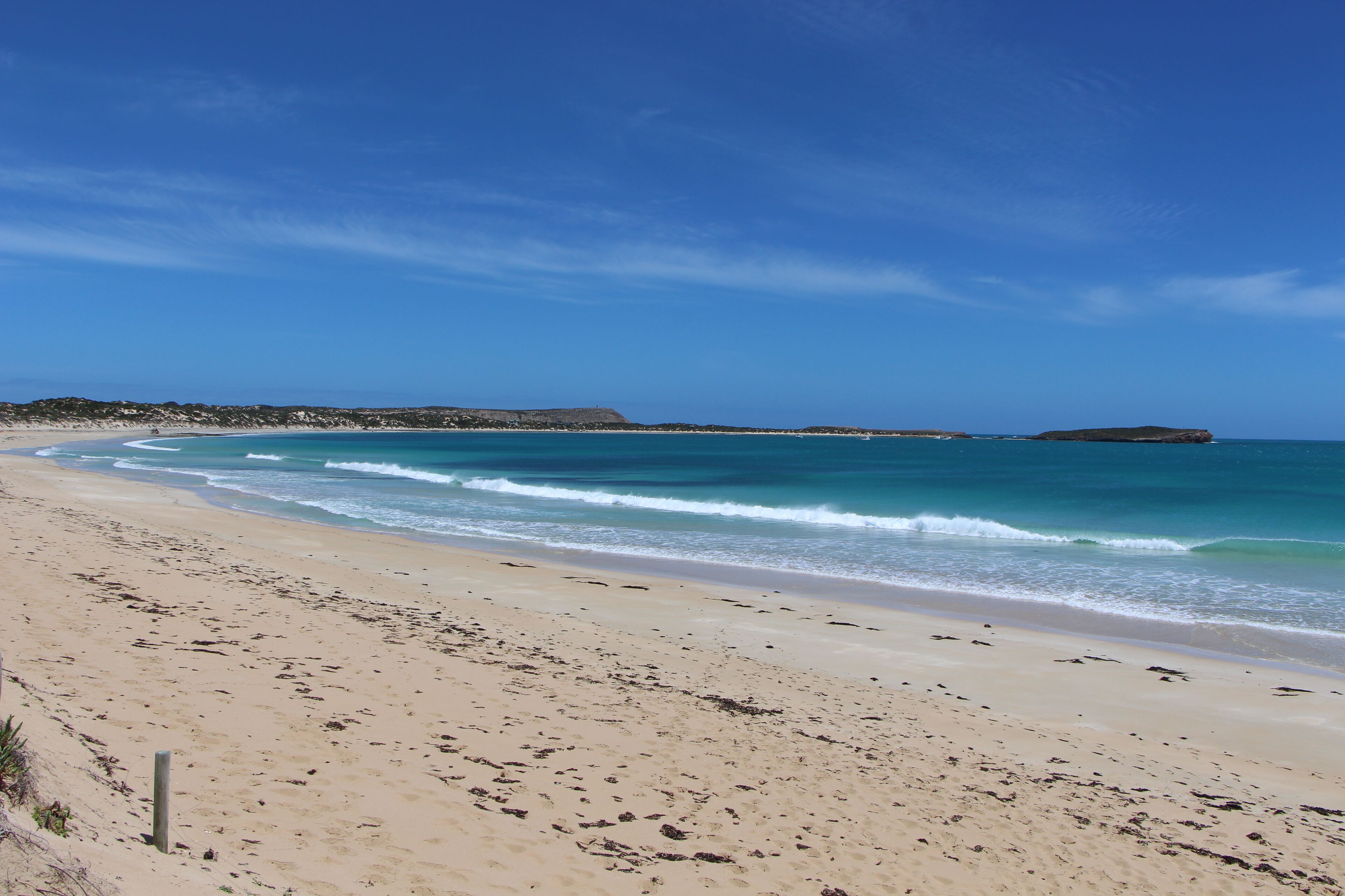 \"Elandra\" Marion Bay — image 25