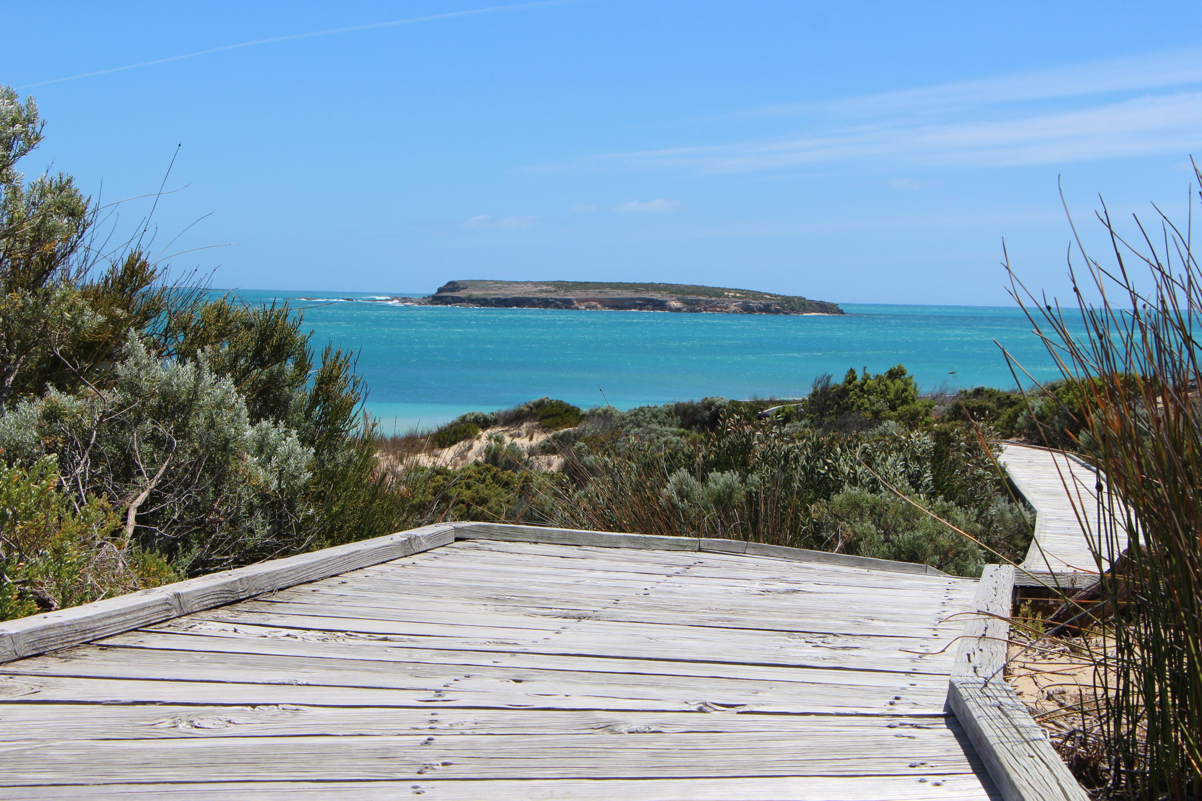 \"Elandra\" Marion Bay — image 4