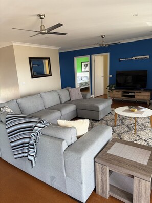 TV, fireplace, video games, DVD player