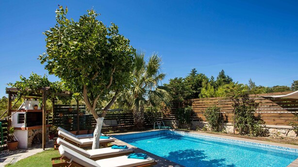 Une piscine avec des chaises longues, un espace barbecue et un arbre.
