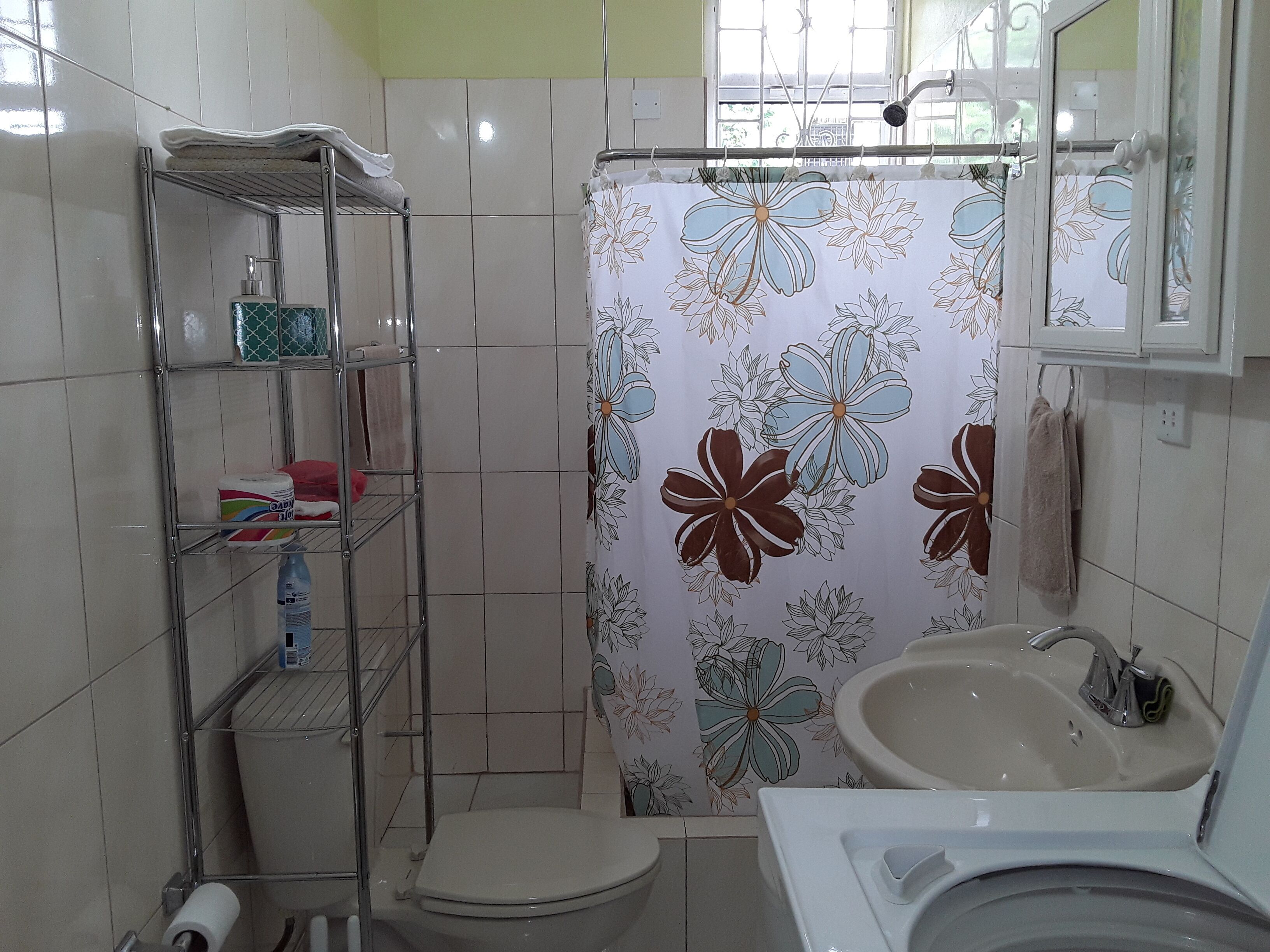 Shower, towels
