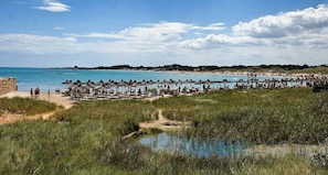 A beach with numerous umbrellas and sun loungers, a clear sky, and a body of water.