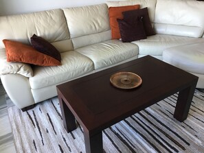 TV, DVD player, books, video library