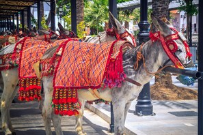 A donkey with a red and orange blanket standing next to a black pole. - Cozy apartment with beautiful view on golf course, mountains and nature reserve. (Alhaurin El Grande)