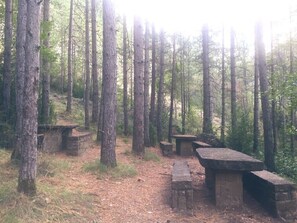 Overnattingsstedets uteområder