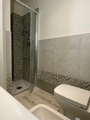 Shower, hair dryer, bidet, towels