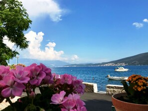 Uitzicht vanuit accommodatie