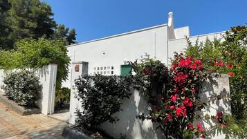 Área da propriedade