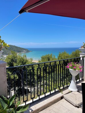 A balcony with a view of the sea, a railing, and a potted plant with flowers.