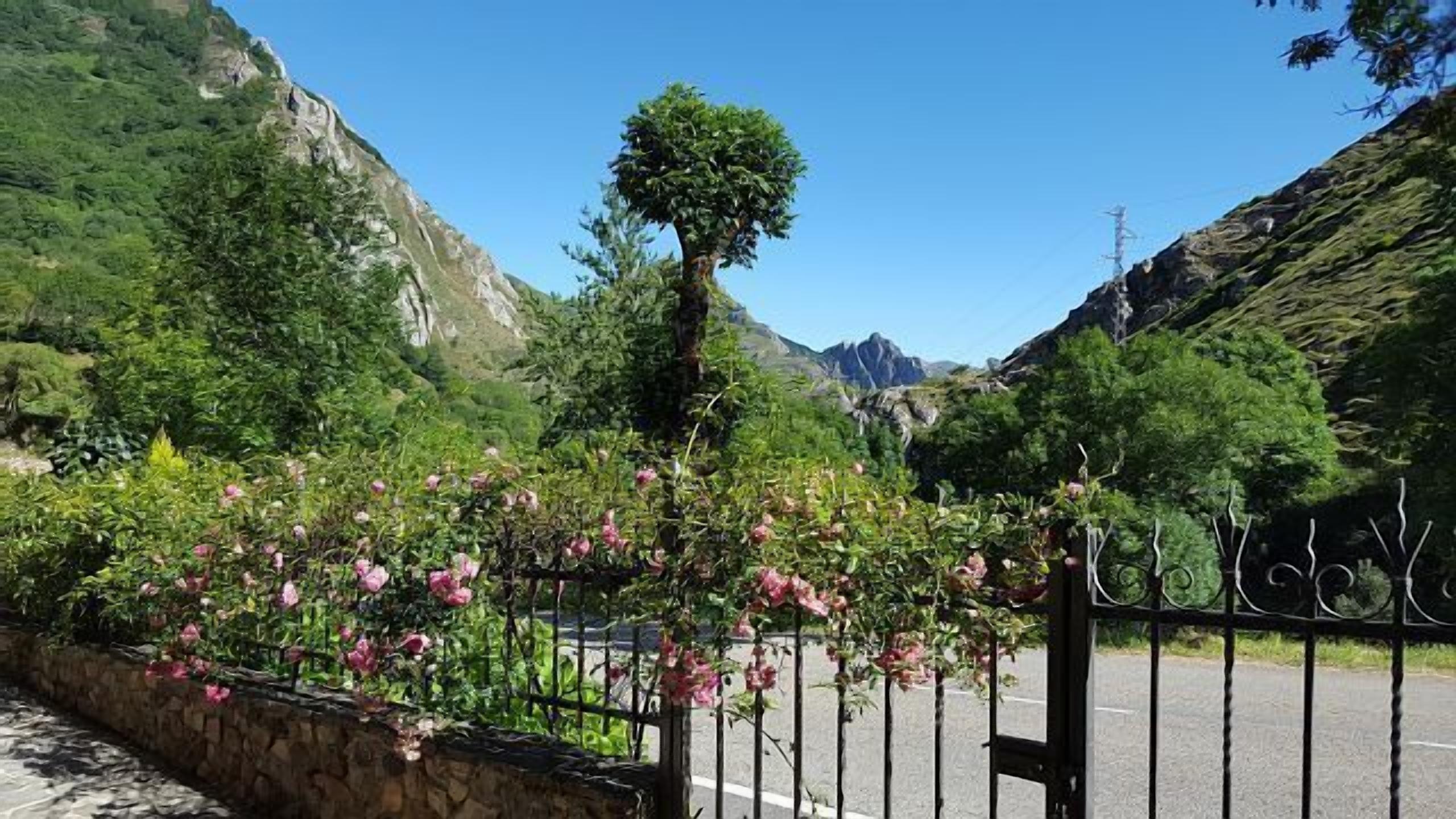 Casa Modesta Apartments for 2 people