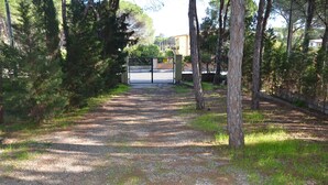 Un sendero de grava que conduce a una zona vallada con árboles y un edificio al fondo.