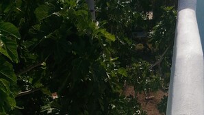 A white staircase with steps leading upwards, surrounded by a white wall and a tree with green leaves. - CASA VACANZE A MATTINATA - GARGANO (Mattinata)