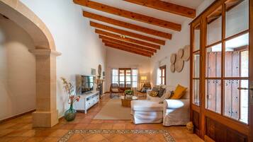 Smart TV, fireplace, DVD player, books