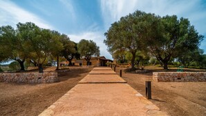 A pathway leading to a rustic building surrounded by olive trees. - Cozy estate "It's Bellveret" (Manacor)
