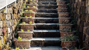 A staircase with terracotta planters on each step, leading up to a tree with orange fruit. - For 8 people Monticelli-Mansion (casola di napoli)