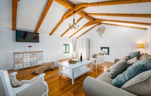 TV, fireplace - Stunning home in Bicici with sauna (Bicici)