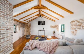 TV, fireplace - Stunning home in Bicici with sauna (Bicici)