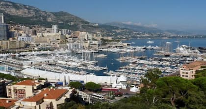Piscine et jardin privé avec un accÚs complet à Internet