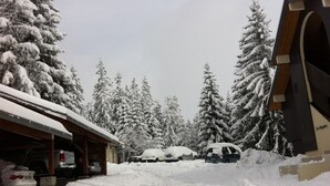 A snowy parking area with several cars covered in snow, surrounded by snow-laden trees. - APARTMENT MANIGOD - The ÉTALE (La Clusaz) to SKI FOOT (MANIGOD)