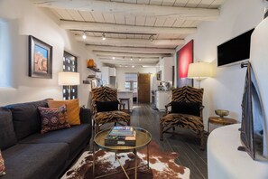 TV connectée, cheminée, livres, médiathèque