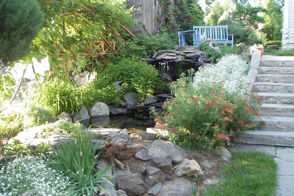 Backyard Water Feature in Bloom