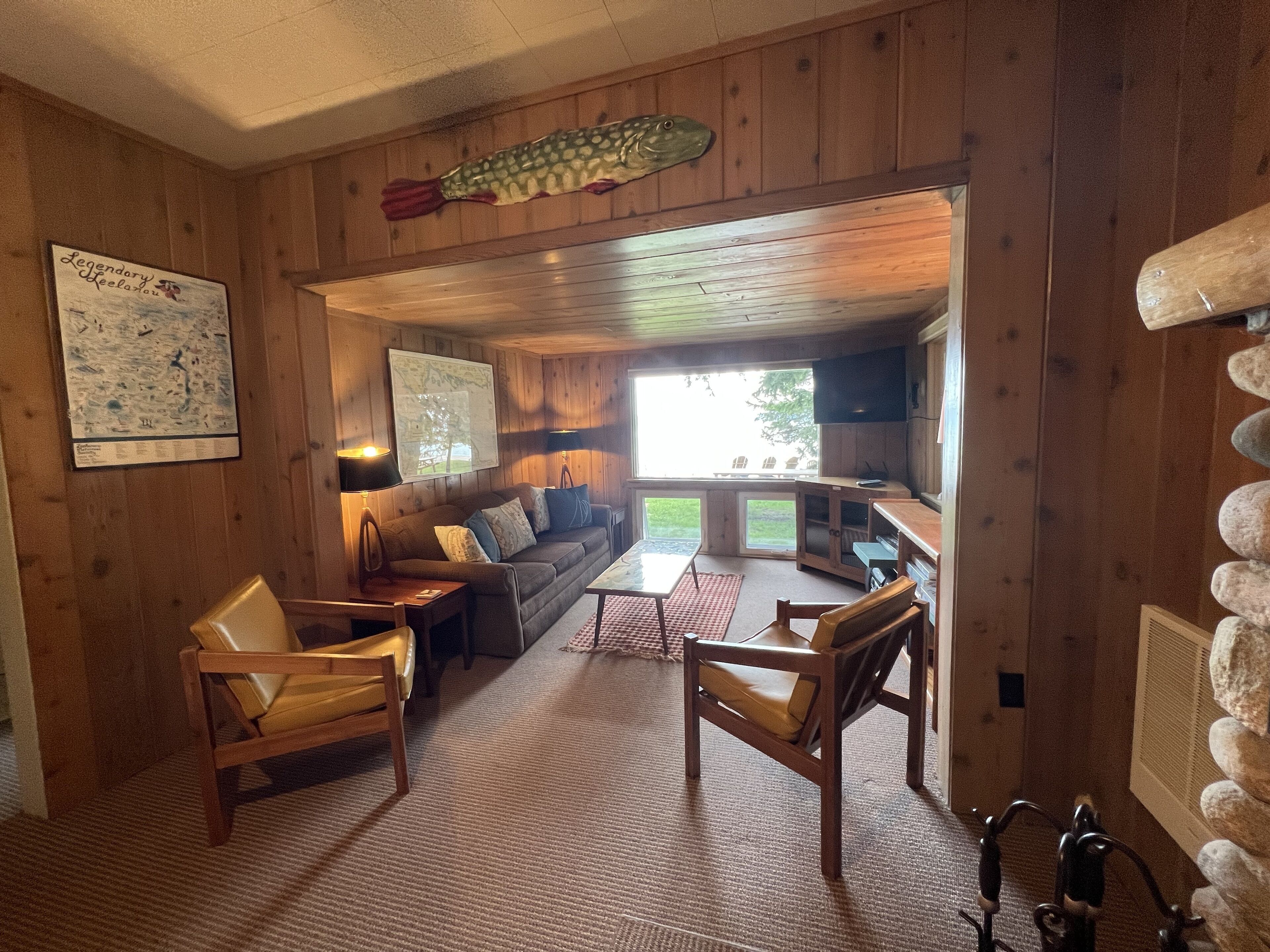 Smart TV, fireplace, DVD player, books